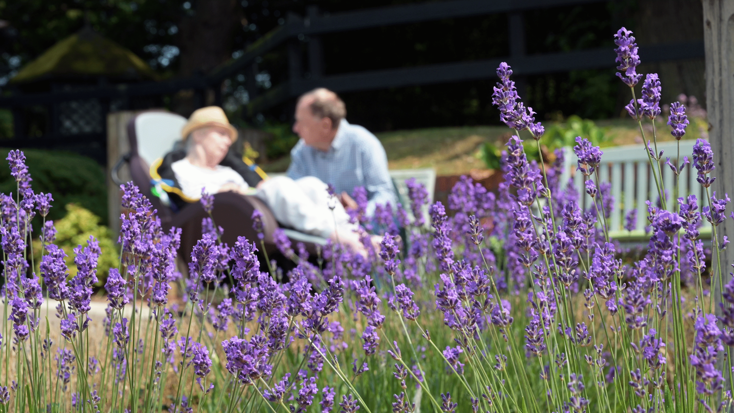 Care Homes In Norwich Norwich