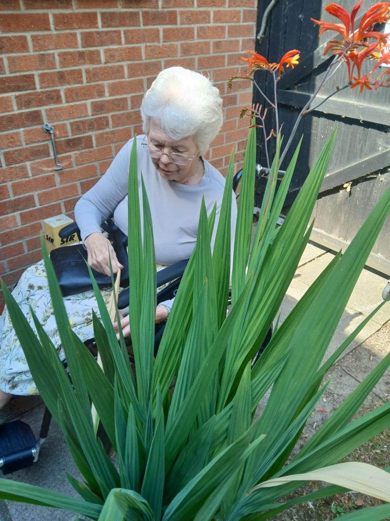 Nursing Care In Norfolk